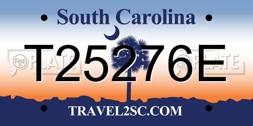T25276E South Carolina License Plate