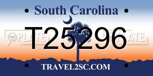 T25296 South Carolina License Plate