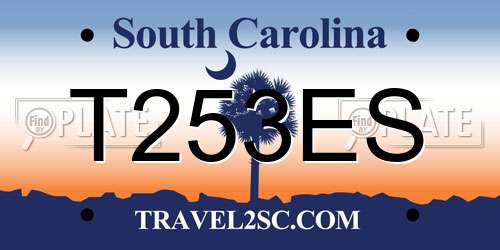 T253ES South Carolina License Plate