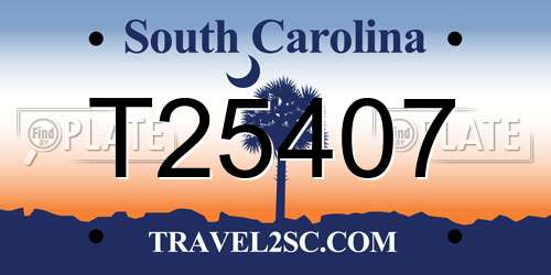 T25407 South Carolina License Plate