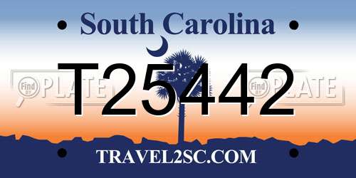 T25442 South Carolina License Plate