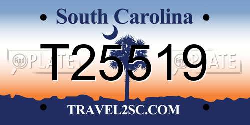 T25519 South Carolina License Plate