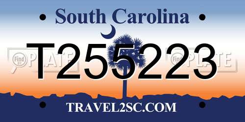 T255223 South Carolina License Plate