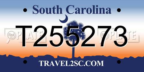 T255273 South Carolina License Plate