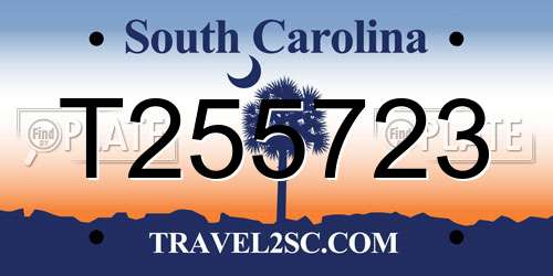 T255723 South Carolina License Plate