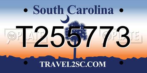 T255773 South Carolina License Plate