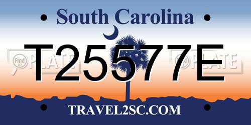 T25577E South Carolina License Plate