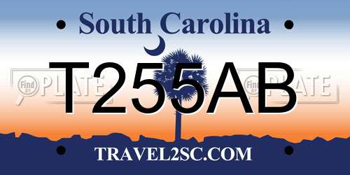 T255AB South Carolina License Plate
