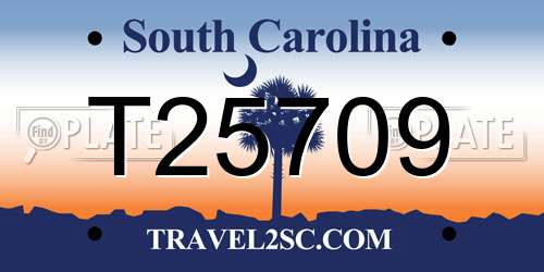 T25709 South Carolina License Plate