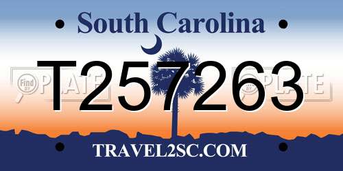 T257263 South Carolina License Plate