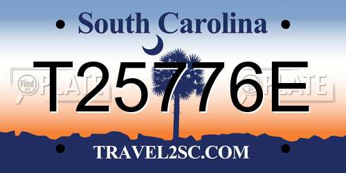 T25776E South Carolina License Plate