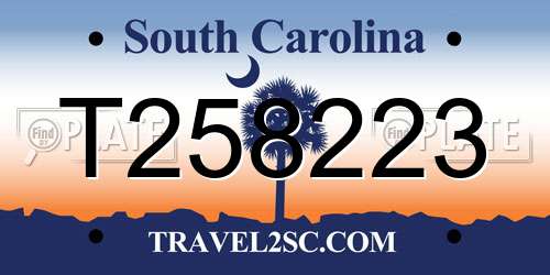 T258223 South Carolina License Plate