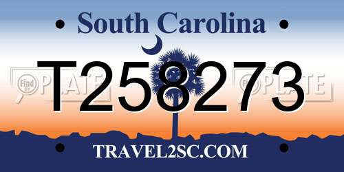 T258273 South Carolina License Plate