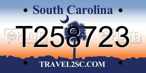 T258723 South Carolina License Plate