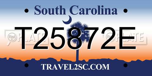 T25872E South Carolina License Plate
