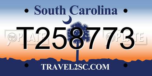 T258773 South Carolina License Plate