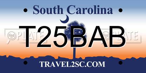 T25BAB South Carolina License Plate