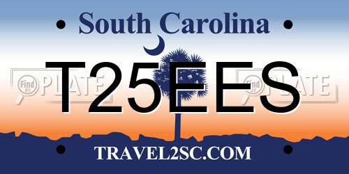 T25EES South Carolina License Plate