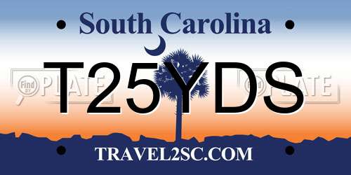 T25YDS South Carolina License Plate