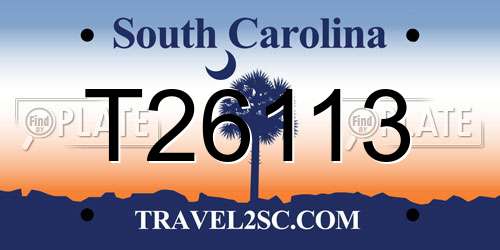 T26113 South Carolina License Plate