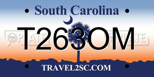 T263OM South Carolina License Plate