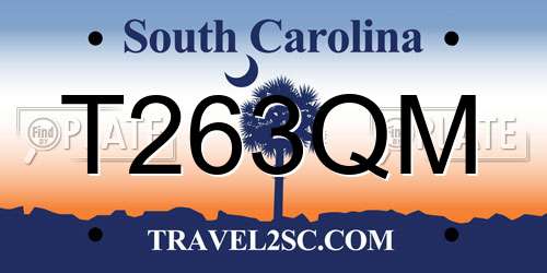 T263QM South Carolina License Plate
