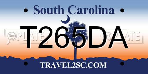 T265DA South Carolina License Plate