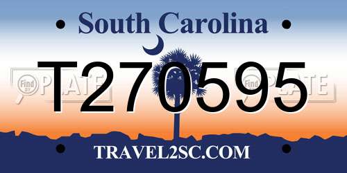 T270595 South Carolina License Plate
