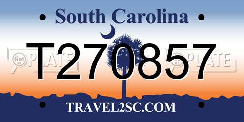 T270857 South Carolina License Plate