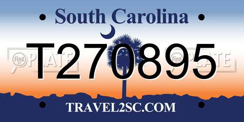 T270895 South Carolina License Plate