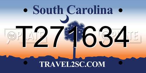 T271634 South Carolina License Plate
