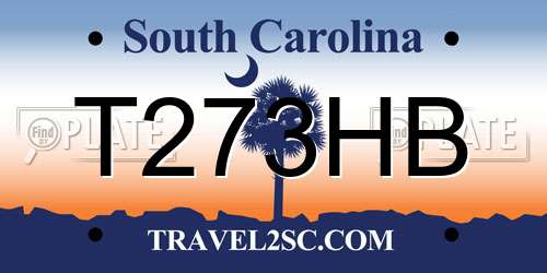 T273HB South Carolina License Plate