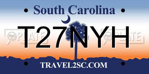T27NYH South Carolina License Plate