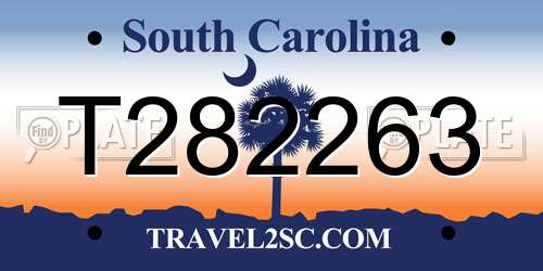 T282263 South Carolina License Plate