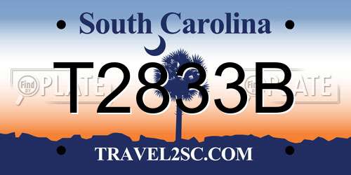 T2833B South Carolina License Plate