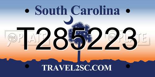 T285223 South Carolina License Plate