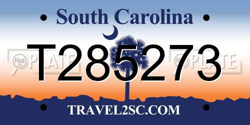 T285273 South Carolina License Plate