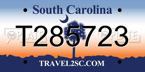 T285723 South Carolina License Plate