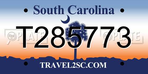 T285773 South Carolina License Plate