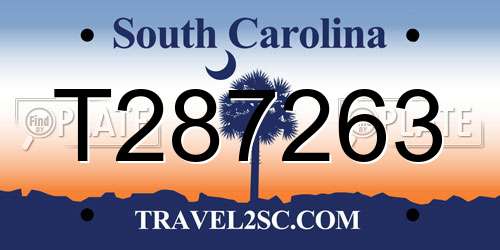 T287263 South Carolina License Plate