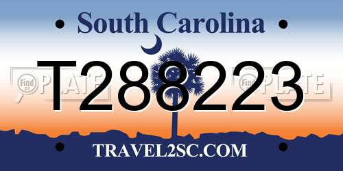 T288223 South Carolina License Plate