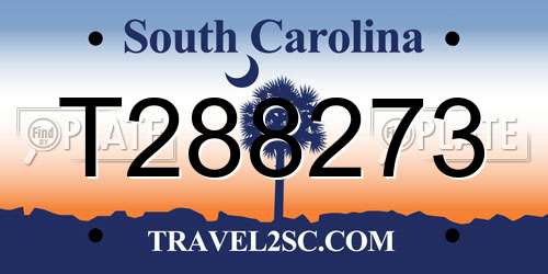 T288273 South Carolina License Plate
