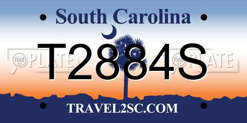 T2884S South Carolina License Plate