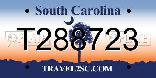 T288723 South Carolina License Plate