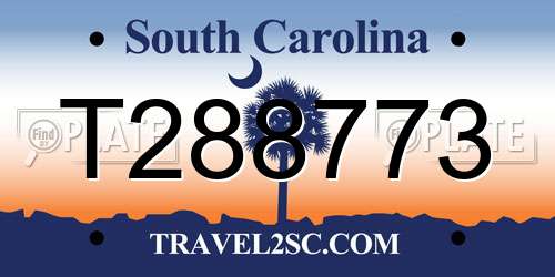 T288773 South Carolina License Plate