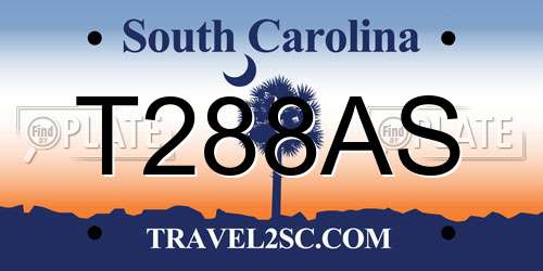 T288AS South Carolina License Plate