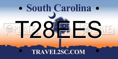 T28EES South Carolina License Plate