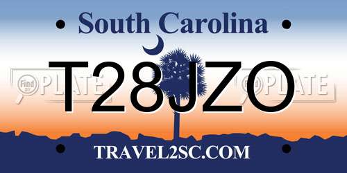 T28JZO South Carolina License Plate