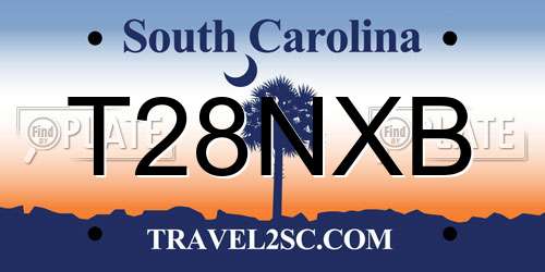 T28NXB South Carolina License Plate