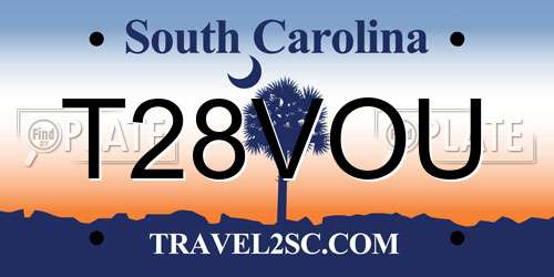 T28VOU South Carolina License Plate